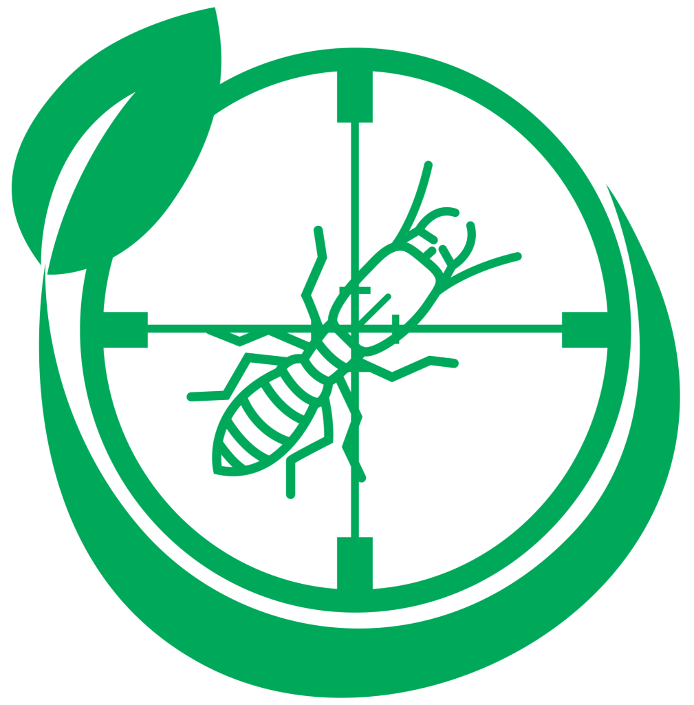 Hyrdan Pest - Jasa Anti Rayap